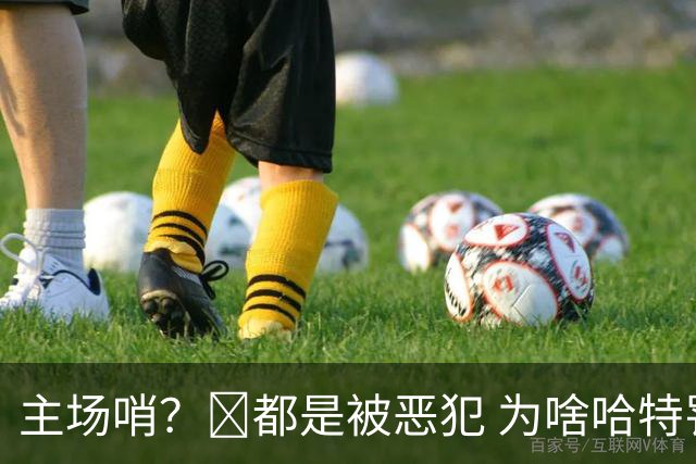 主场哨？🧠都是被恶犯 为啥哈特罚一个 文班罚两个？